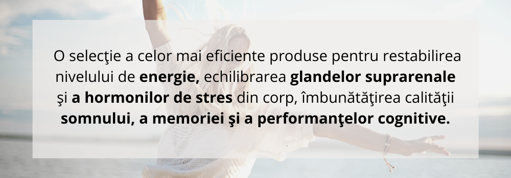 categoria energie si echilibru